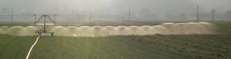 Rain12
